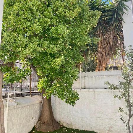 Modern 3Br Maisonette With Garden 10 Min From Acropolis Athens Exterior photo
